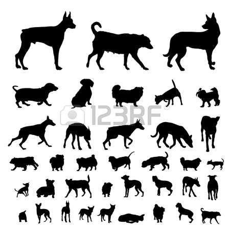 450x450 Doberman Dog Bone Clipart, Explore Pictures