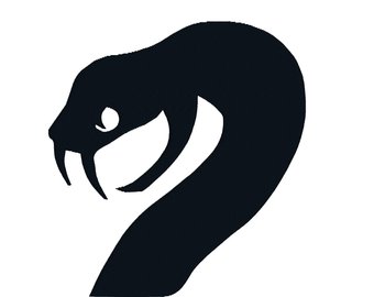 340x270 Viper Snake Etsy