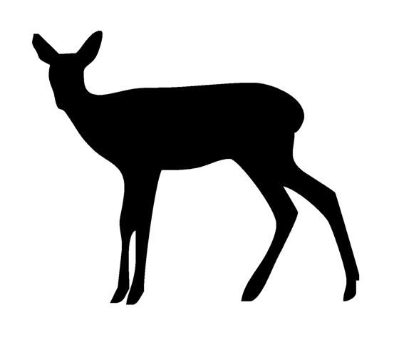 553x480 Doe Silhouette