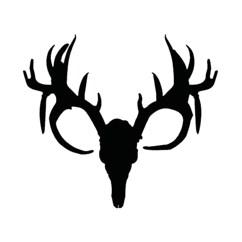 800x800 Antler Clipart Doe Head
