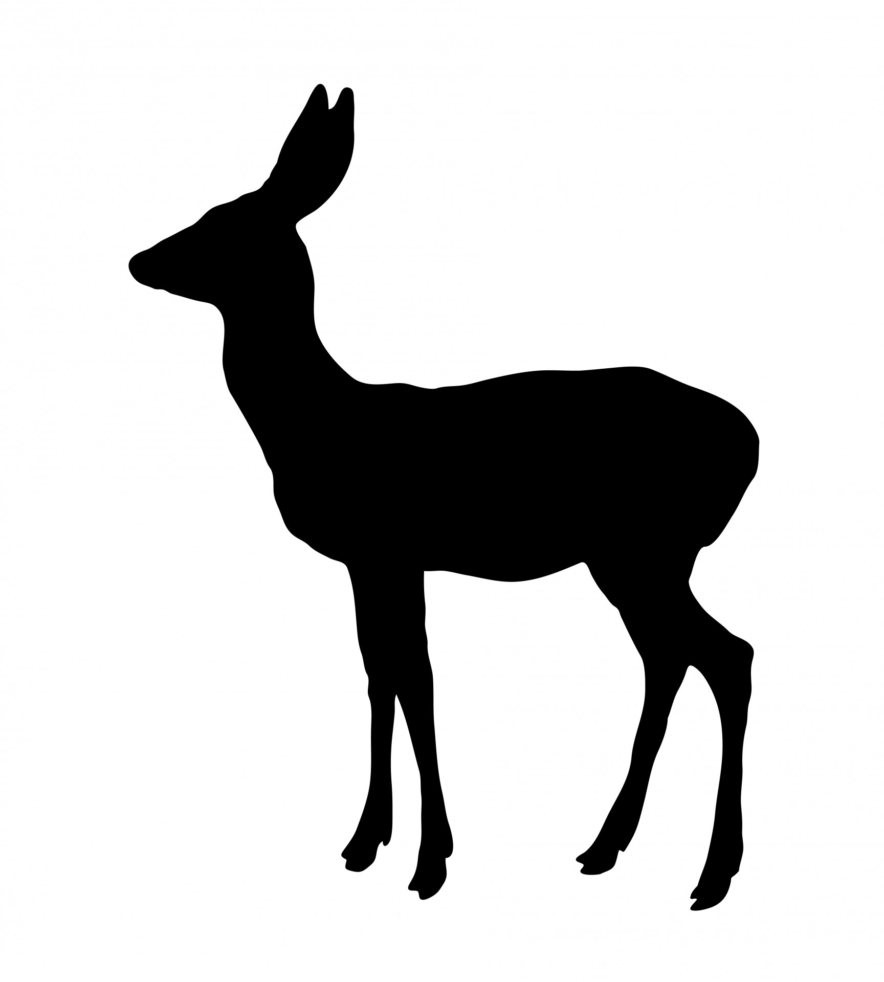 1728x1920 Deer Silhouette Free Stock Photo