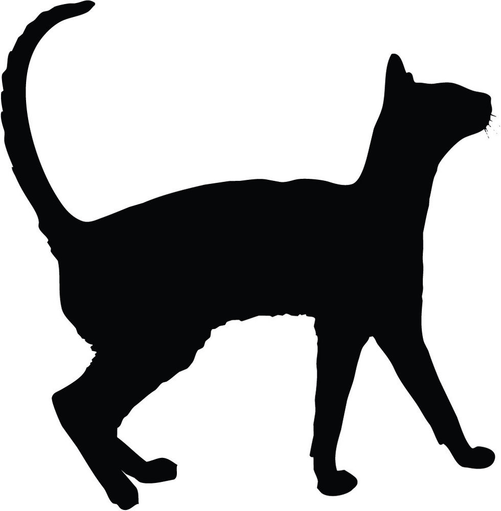 980x1000 Dog And Cat Silhouette Clipart Library