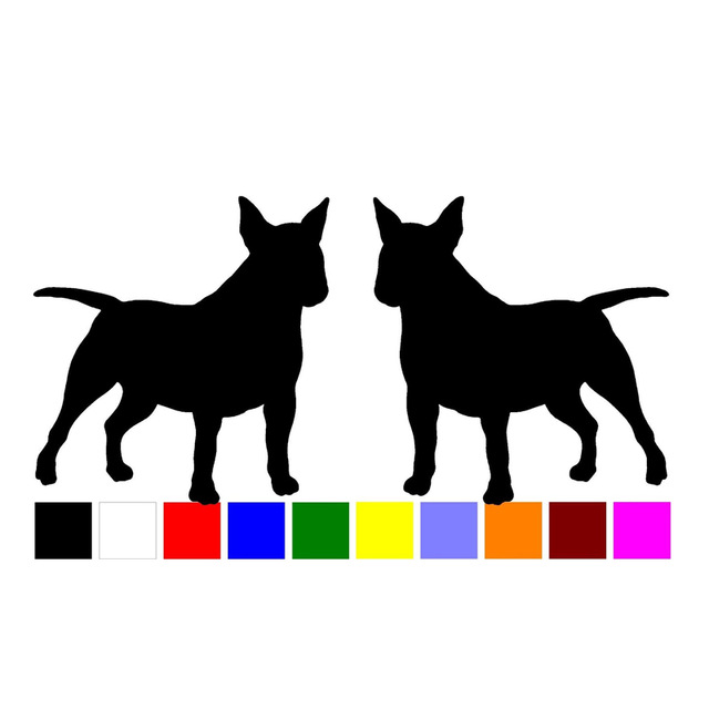 640x640 Hotmeini 2 Miniature Bull Terrier Dog Breed Home Windows