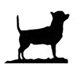 315x252 Chihuahua Smooth Haired Dog Lovers Gift