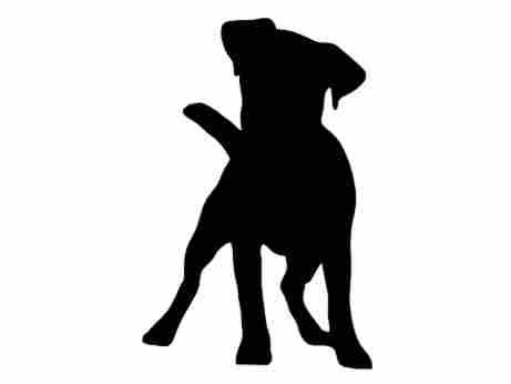 461x346 Jack Russell Terrier V1 Dog Breed Silhouette Custom Vinyl Decal