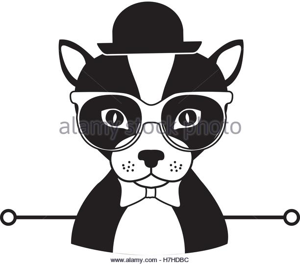 612x540 Silhouette Dog Cartoon Glasses Bow Stock Photos Amp Silhouette Dog