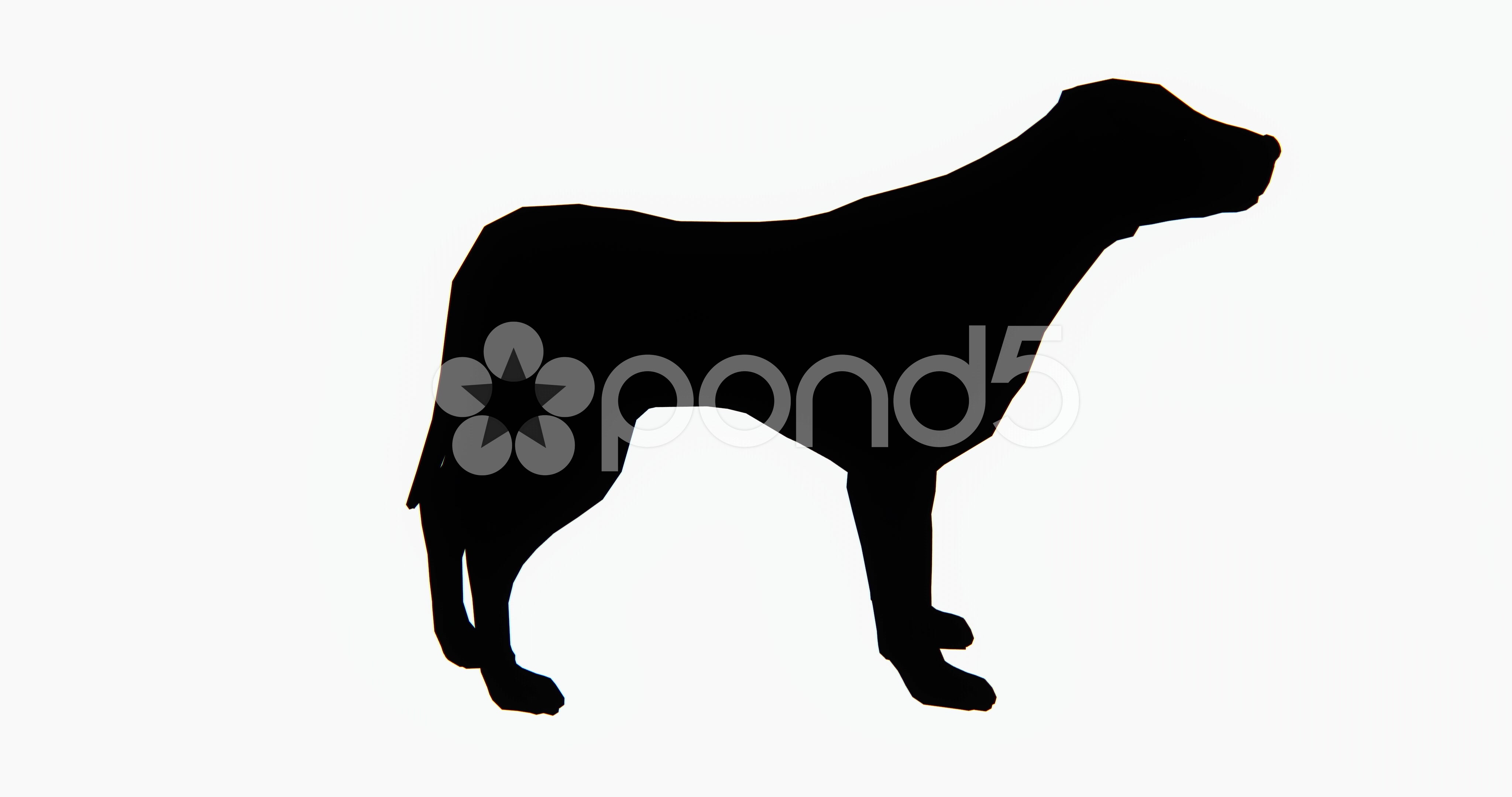 4096x2160 Video 4k Dog,3d Cartoon,lovely Pet,animal Silhouette. ~