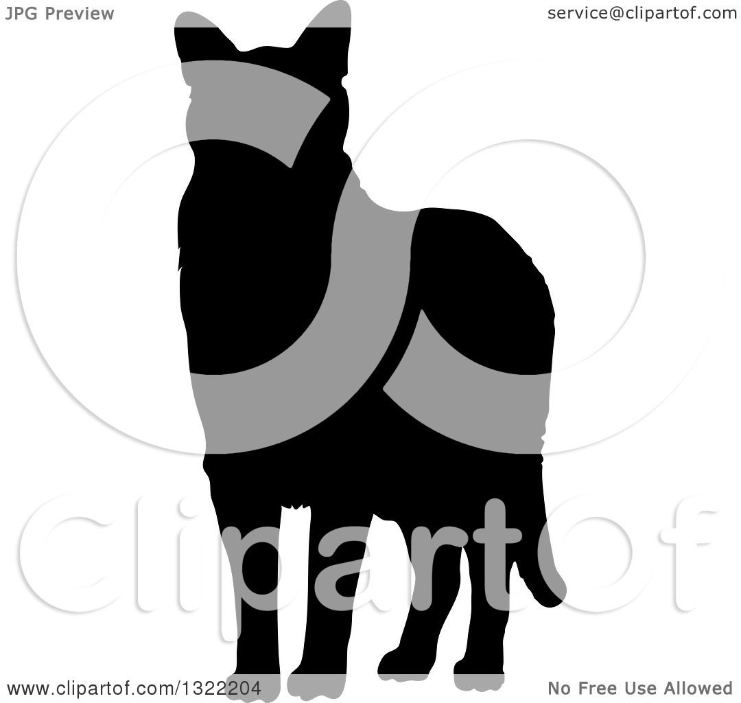 Dog Cat Silhouette