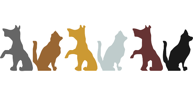 640x320 Animals, Cat, Silhouette, Dog, Pets, Colors, Animal