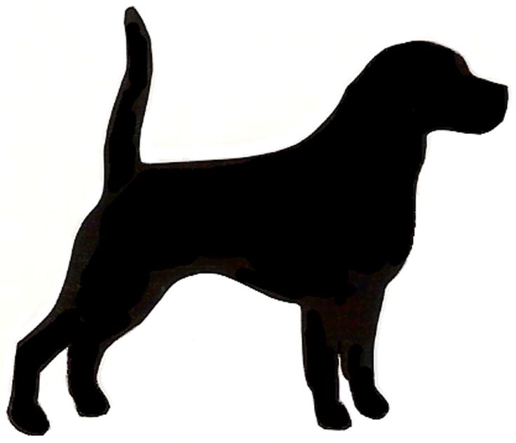 736x632 Beagle Clipart Beagle Dog