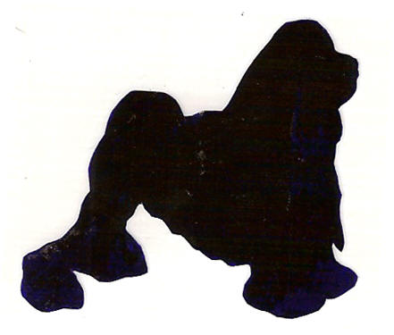 441x375 Greater Swiss Mt. Dog