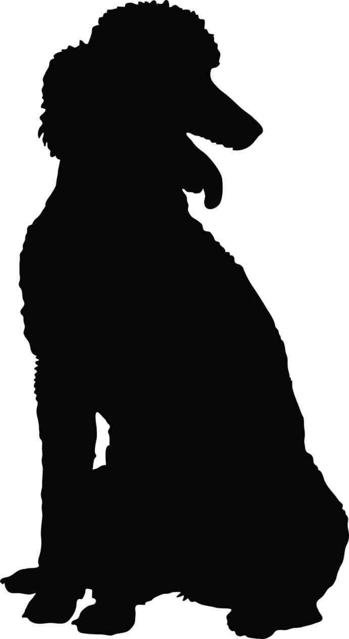 691x1264 Chinacps Poodle Poodle Face Silhouette Silhouette Clipart Chinacps