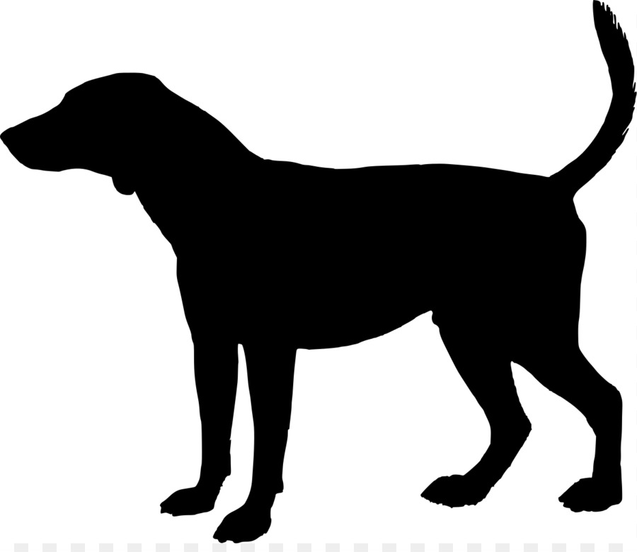 900x780 The Slow Waltz Of Turtles France The Yellow Eyes Of Crocodiles