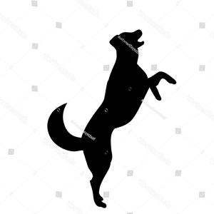 300x300 Isolated On White Background Silhouette Dog Ardiafm
