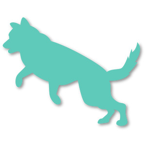 300x300 Silhouette Design Store