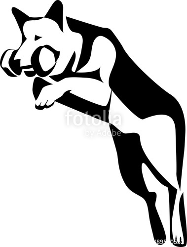 379x500 German Shepherd Dog Jumping With Aport Stock Image And Royalty