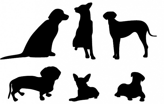 626x396 Dog Vectors Free Vector Graphics Everypixel