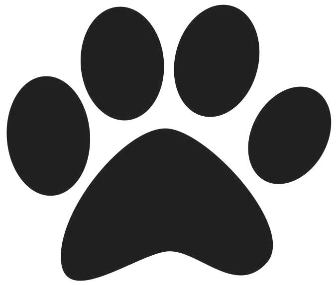 675x574 Pet Paw Pet Paw Print Icon On Stainless Steel Modern Industrial