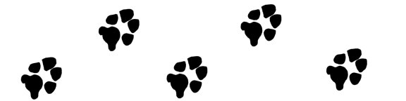 576x144 Dog Paw Print Clip Art Free Download 26
