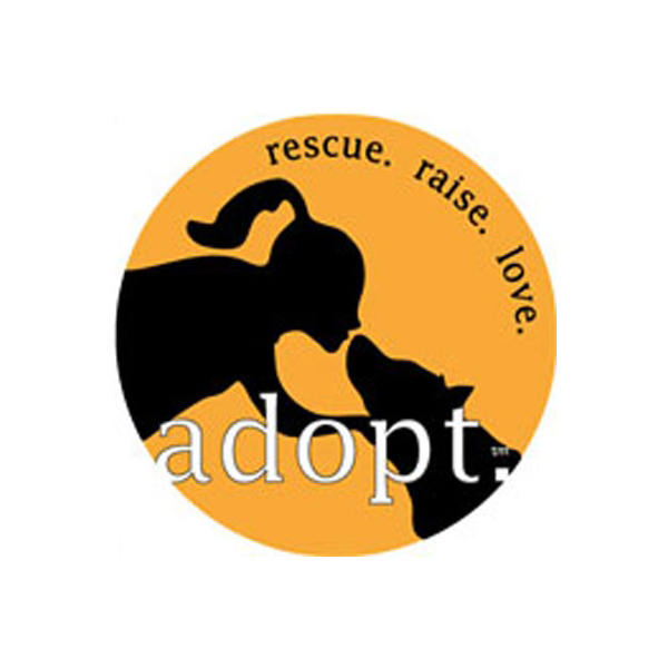 600x600 Bringing Home Your Rescue Dog