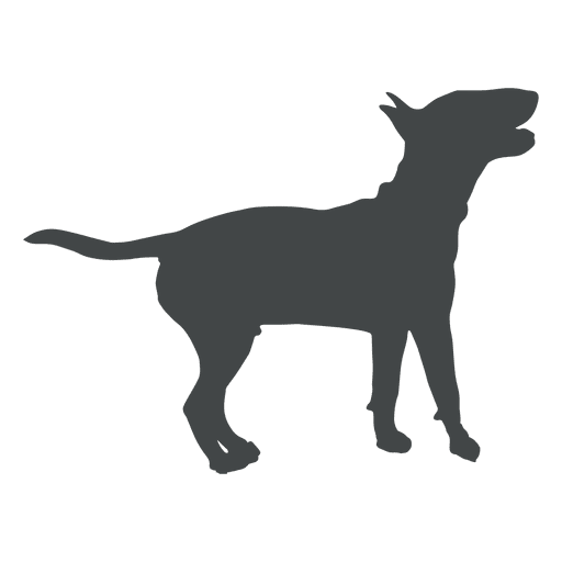 512x512 Playing Dog Silhouette Posing