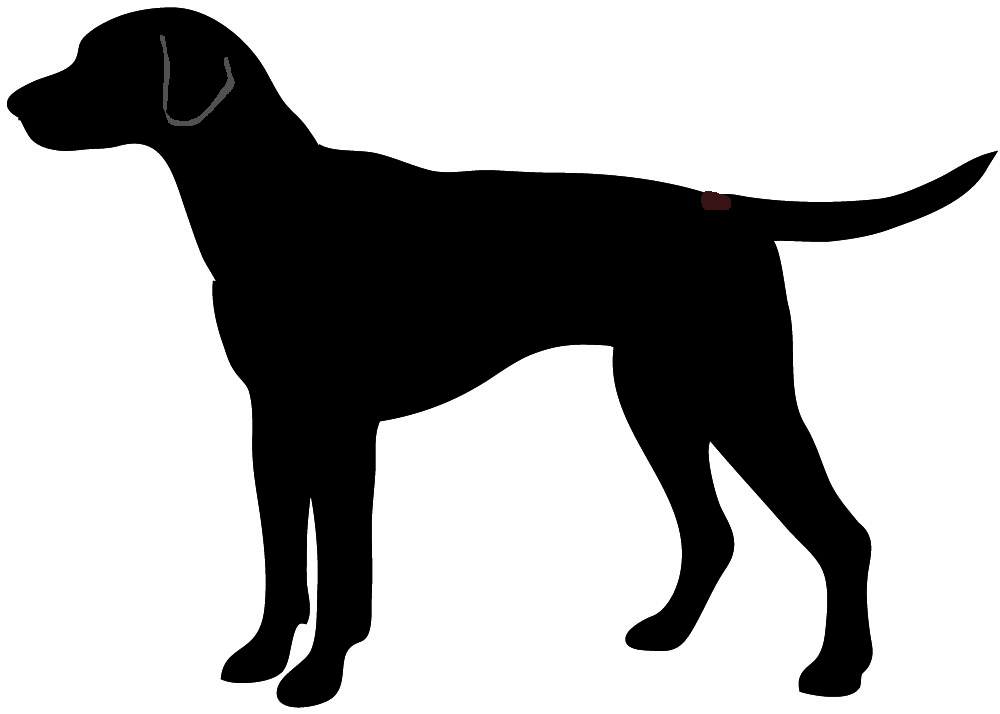 1000x714 Dog Sitting Silhouette Clipart
