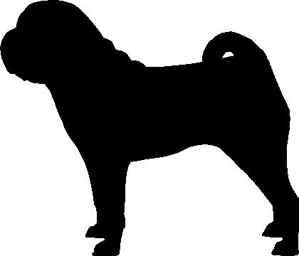 420x360 Chinese Shar Pei