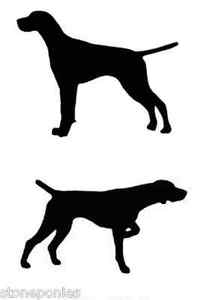 204x300 English Or German Shorthair Pointer Dog Profile Silhouette Window