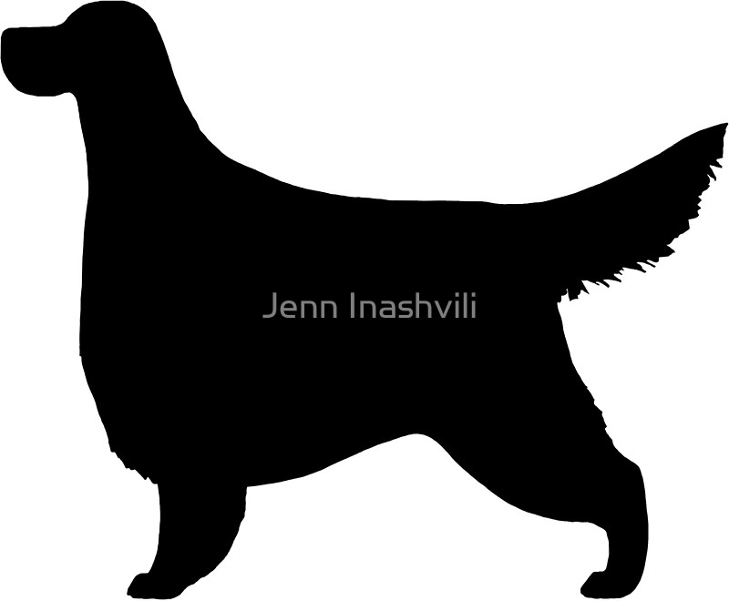 800x660 Gordon Setter Silhouette(S) Stickers By Jenn Inashvili Redbubble