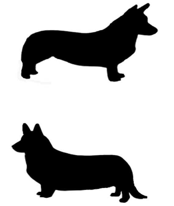 570x674 Pembroke Or Cardigan Welsh Corgi Dog Profile Silhouette Window
