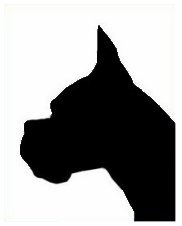 182x226 Boxers Around The World