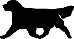 300x160 Golden Retriever Run Dog Decal Sticker Car Van Vinyl Silhouette