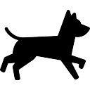 128x128 Dog Running Vectors, Photos And Psd Files Free Download