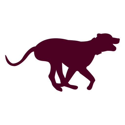 512x512 Dog Running Sequence 6