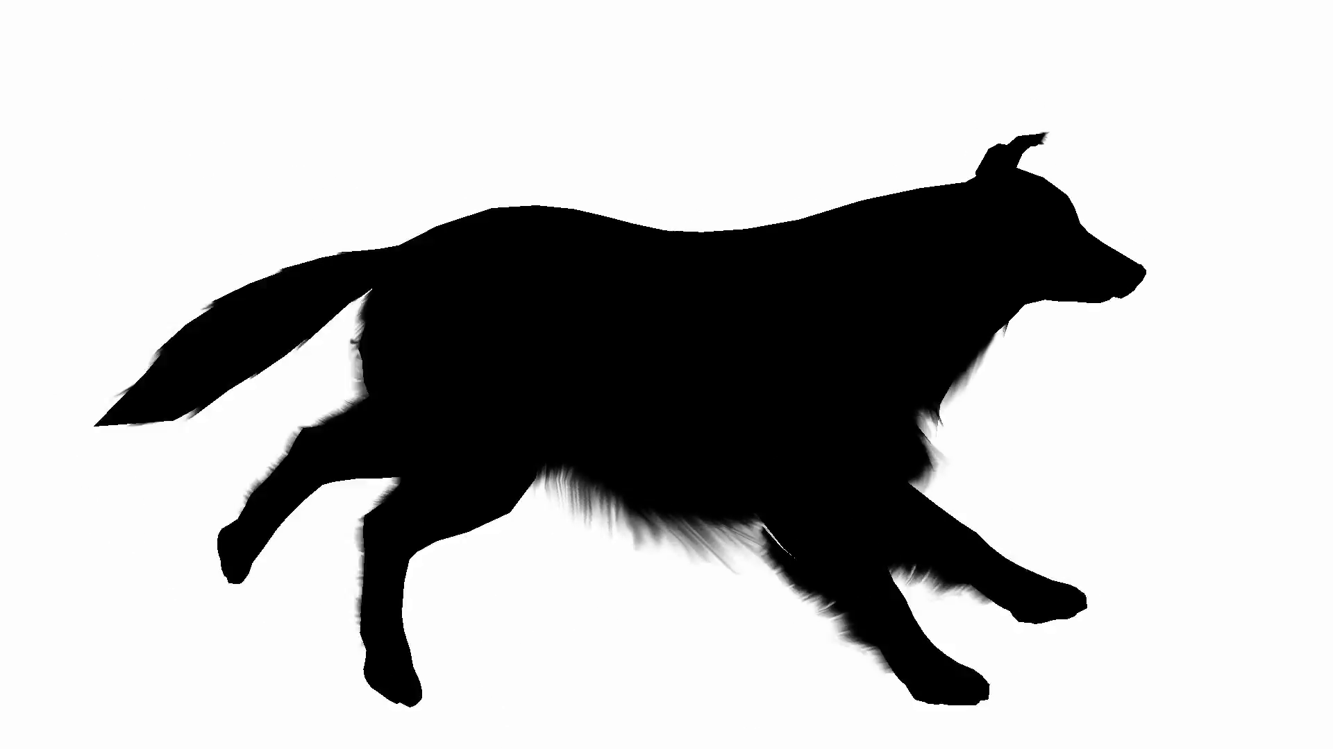 1920x1080 Profile Of Dog Running In Silhouette Motion Background