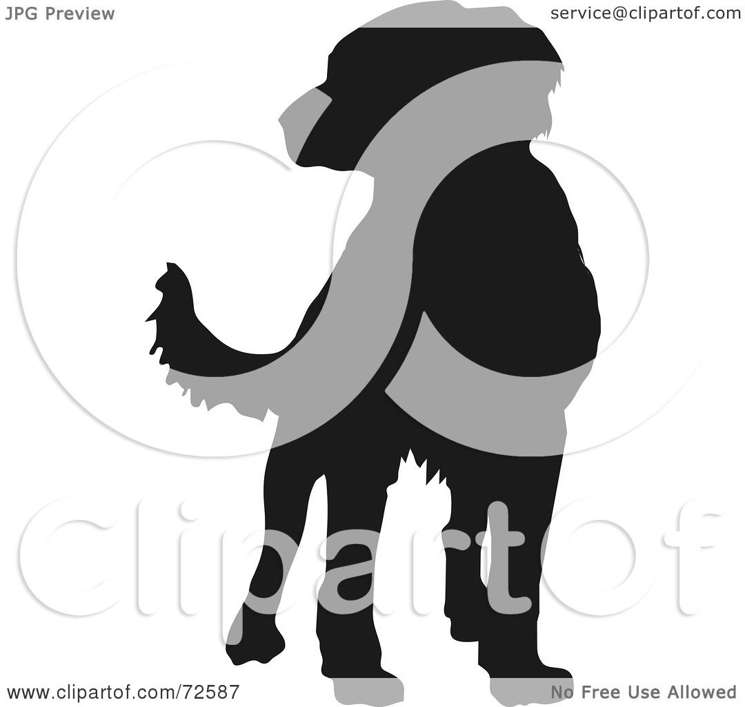 1080x1024 Royalty Free (Rf) Clipart Illustration Of A Dark Brown Labrador