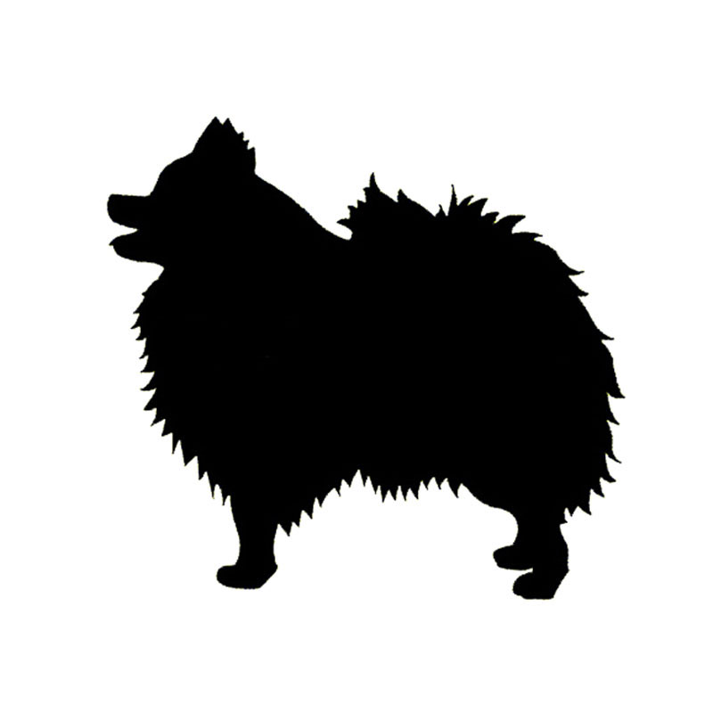 800x800 Pomeranian Clipart Dog Silhouette Many Interesting Cliparts