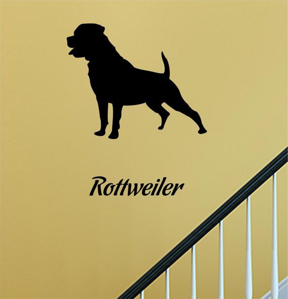 570x592 62 Best Canvas Images On Dogs, Rottweiler And Rottweilers