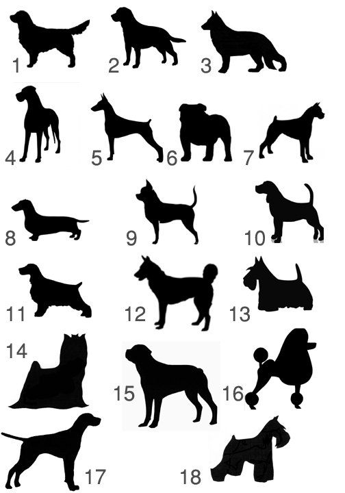 504x720 Custom Pet Silhouette Clipart Silhouettes, Dog