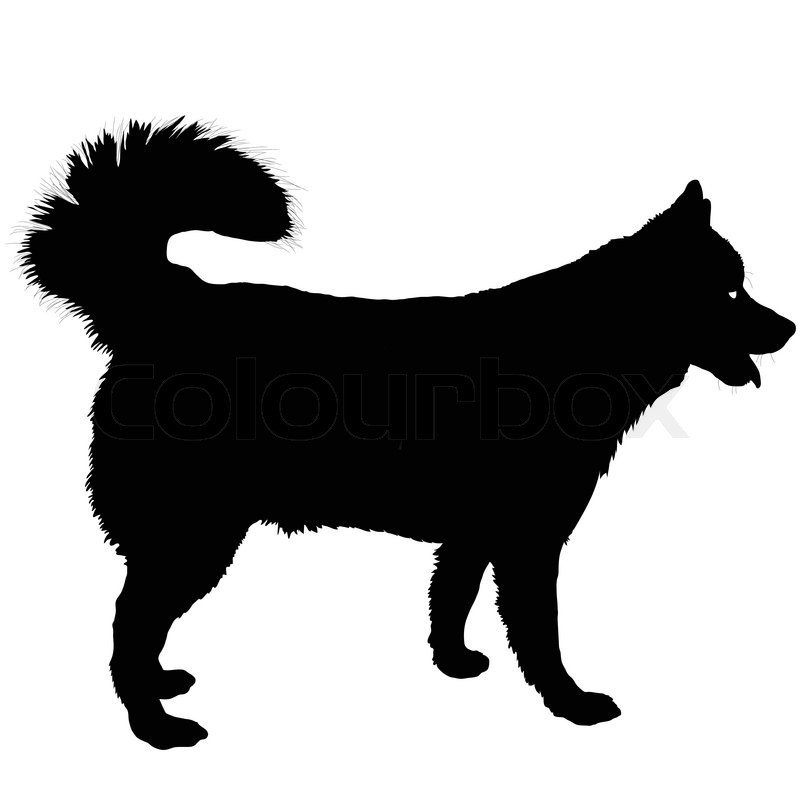 800x800 7199544 Husky Silhouette.jpg Silhouettes