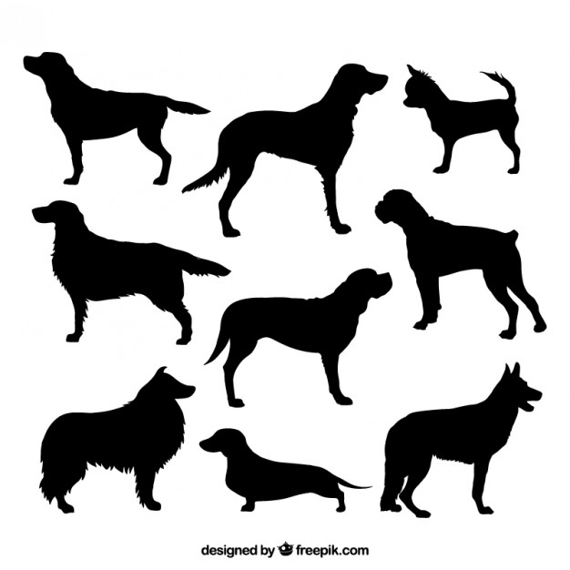 626x626 Dog Silhouette Vectors, Photos And Psd Files Free Download