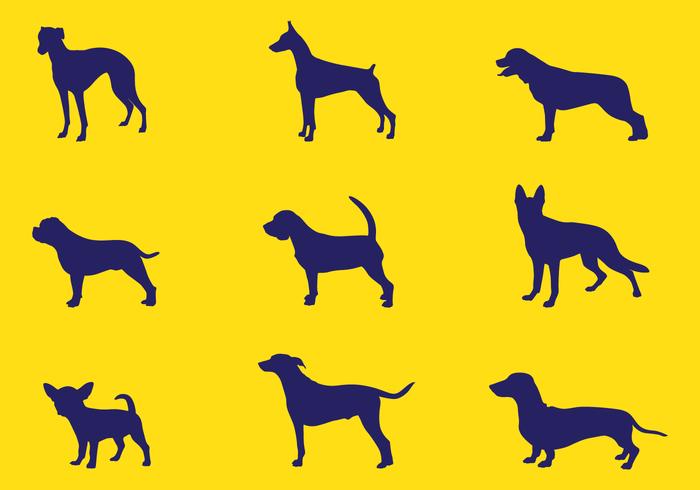 700x490 Free Dog Vectors Vecteezy