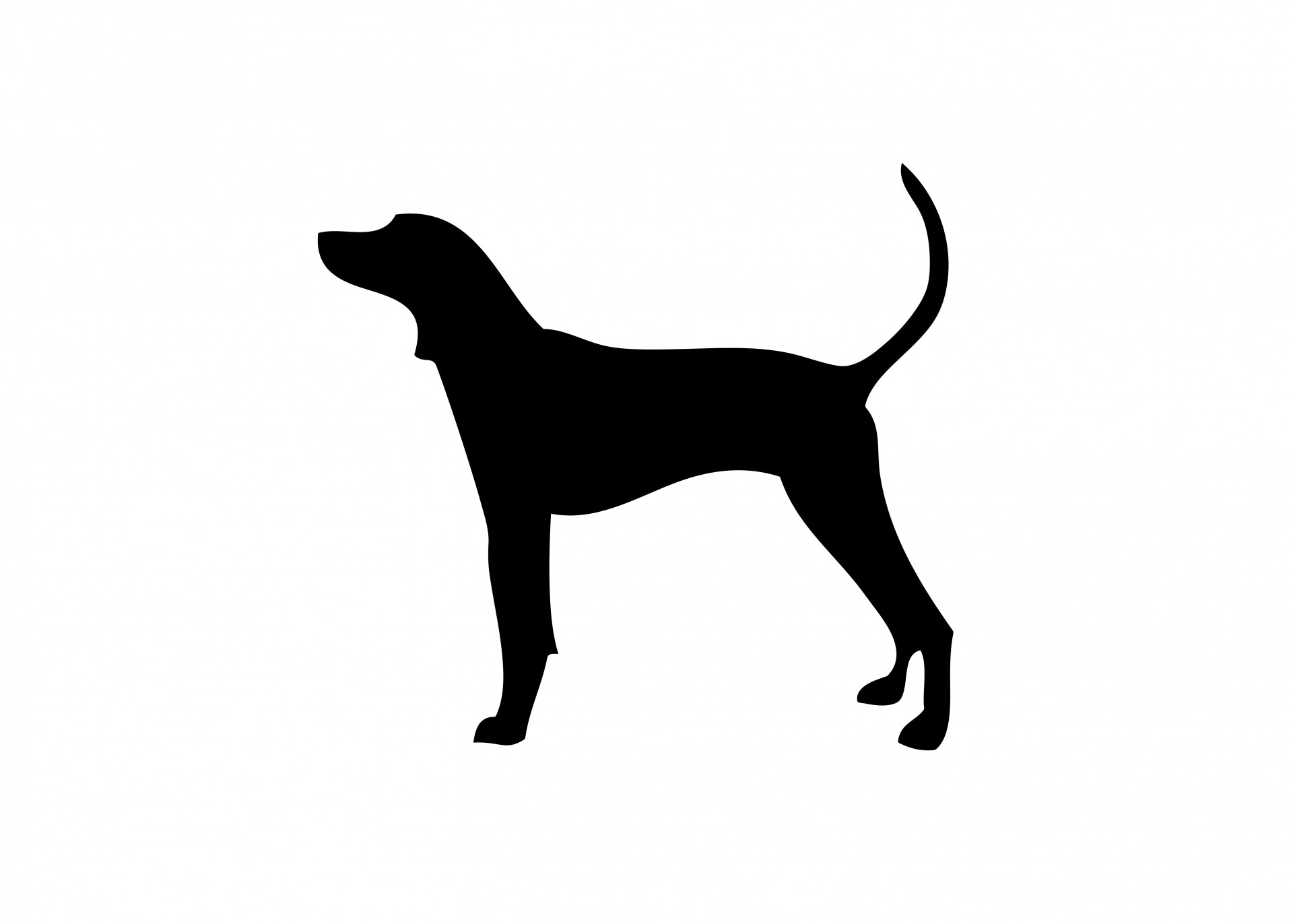 1920x1372 Dog Silhouette Free Stock Photo