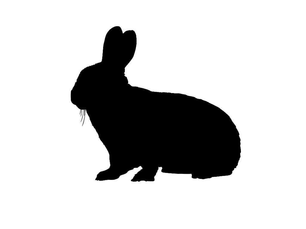 1024x768 Jack Rabbit Clipart Dog Silhouette Many Interesting Cliparts