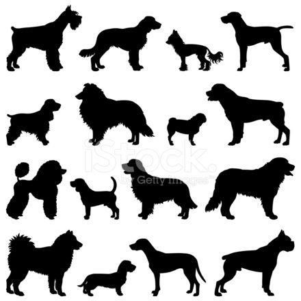 440x440 Purebred Dogs Silhouette Set Stock Vector
