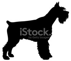 231x200 Giant Schnauzer Dog Silhouette Stock Vectors