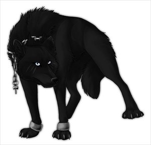 300x288 Tb3ef67) Travel Bug Dog Tag