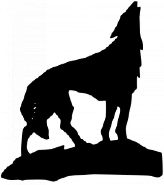 555x626 The World's Best Photos Of Silhouette And Wolf