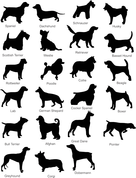 555x728 Dog Silhouette Vector Free Download