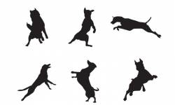 250x150 Pet Silhouette Archives